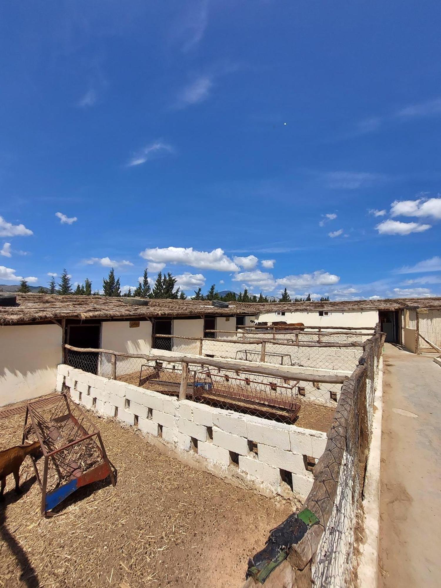 La Granja Guest House Tétouan Ngoại thất bức ảnh